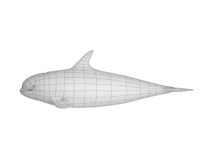 whale base mesh 3Dモデル