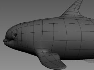 whale base mesh 3Dモデル
