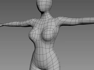 women base mesh 3D Model