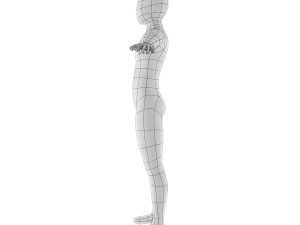 man base mesh 3D Model