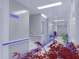 ホールクリニック 3Dモデル