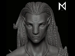 Avatar da figura de Jake Sully Modelo de Impressão 3D