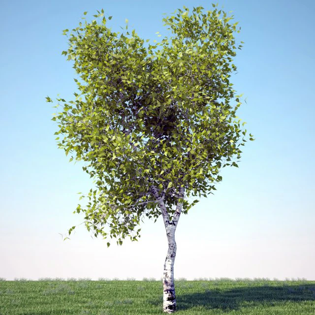 árbol Modelo 3D .c4d .max .obj .3ds .fbx .stl .blend