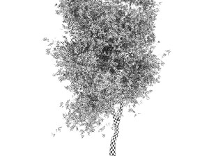 tree 3D 模型
