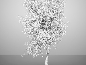 tree 3D 模型