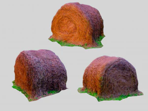 fieno Modello 3D