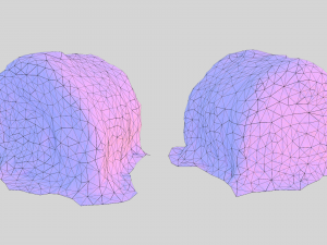 hay Modelo 3D