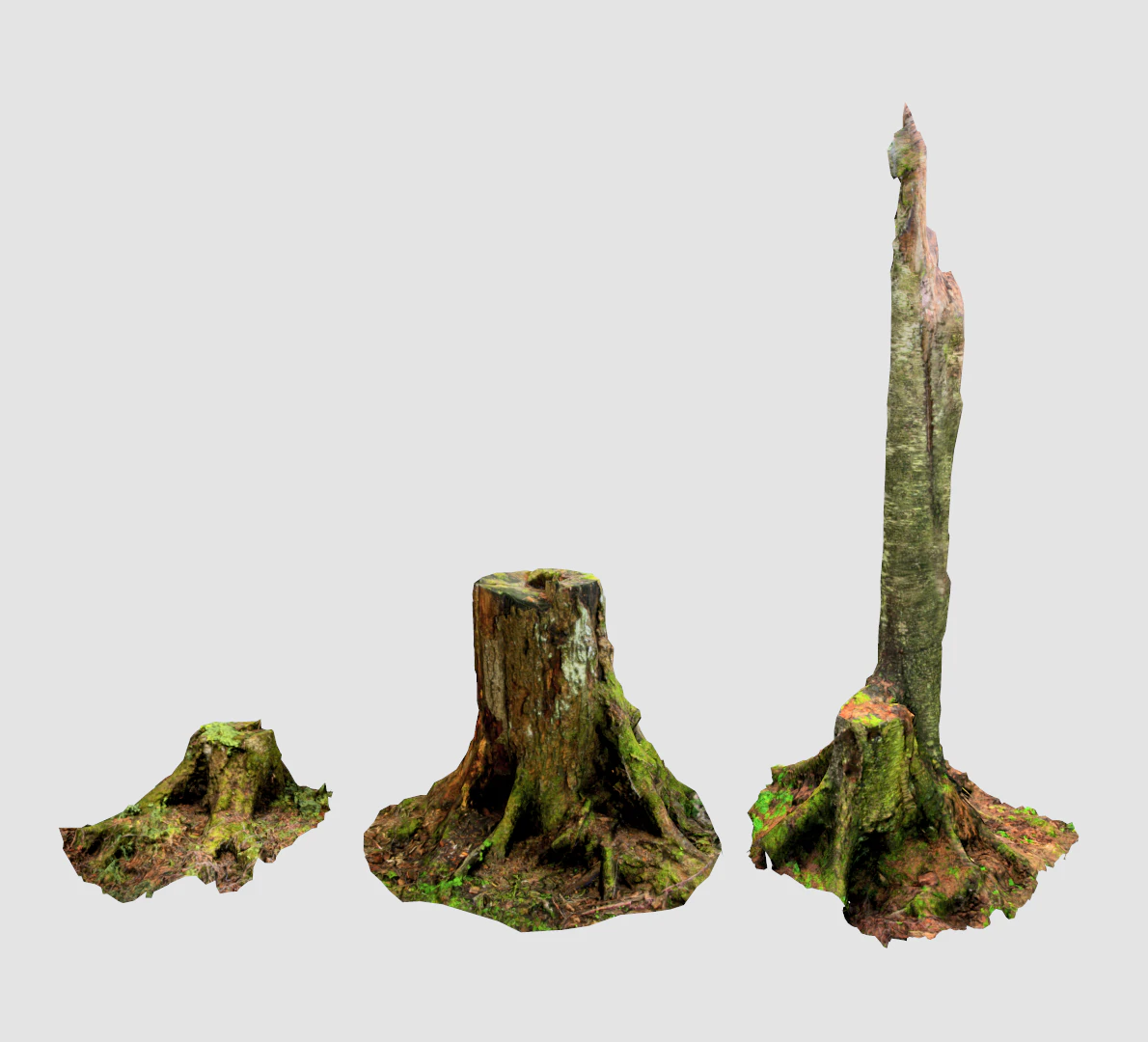 forest stubs 3D Model .c4d .max .obj .3ds .fbx .stl .blend 