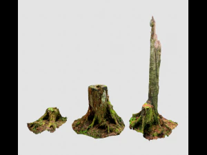 森林の切り株 3Dモデル