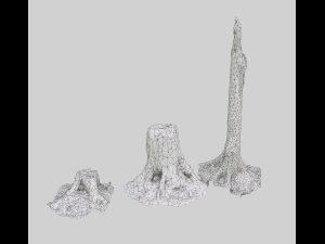 forest stubs Modello 3D