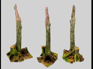 forest stubs 3D Model