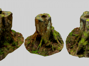 forest stubs Modello 3D