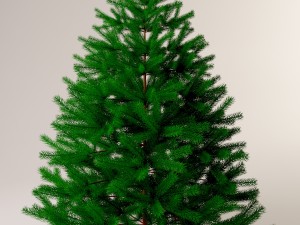 christmas tree 3Dモデル