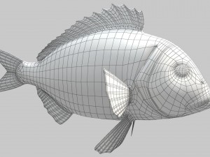 northern red snapper animated 3D Model