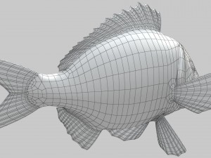northern red snapper animated 3D Model