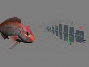 northern red snapper animated 3D Model