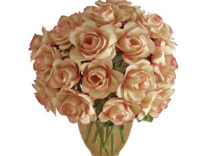 roses 3Dモデル
