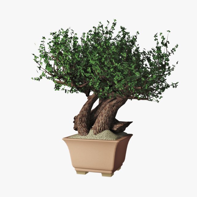 bonsai 3Dモデル .c4d .max .obj .3ds .fbx .stl .blend 
