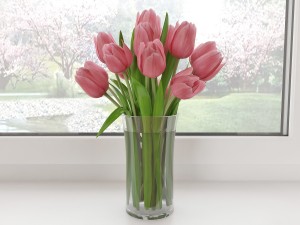 tulips 3Dモデル