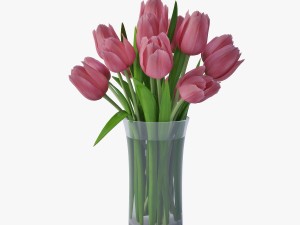 tulips 3D Model