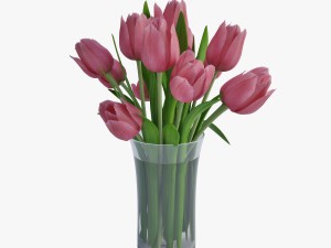 tulips 3D Model