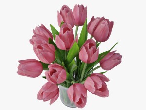 tulips 3D Model