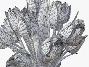 tulips 3D Model