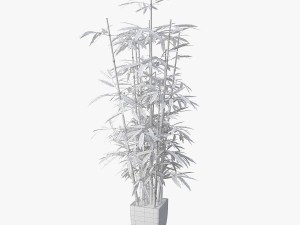 bamboo 3D Model