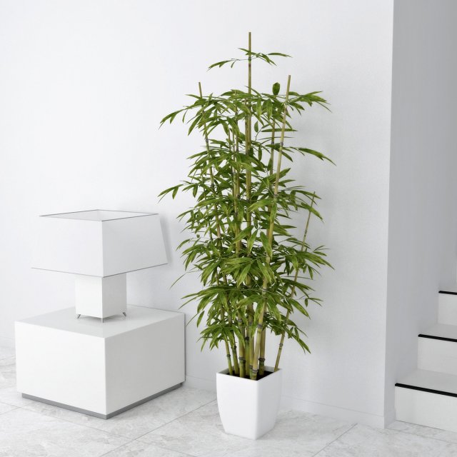 bamboo 3D Model .c4d .max .obj .3ds .fbx .stl .blend 