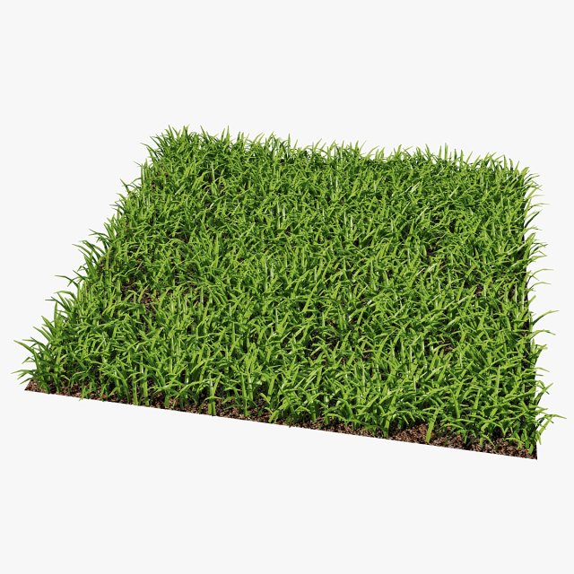 grass 3D Model .c4d .max .obj .3ds .fbx .stl .blend 