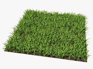 grass Modèle 3D