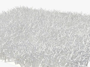 grass 3D Model