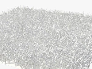 grass 3D Model