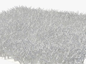 grass 3D Model