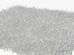 grass 3D Model