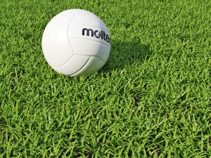 grass 3D Model