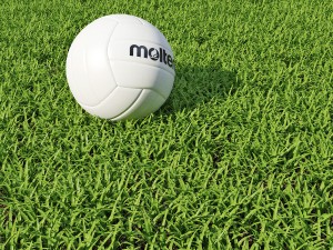 grass 3D Model
