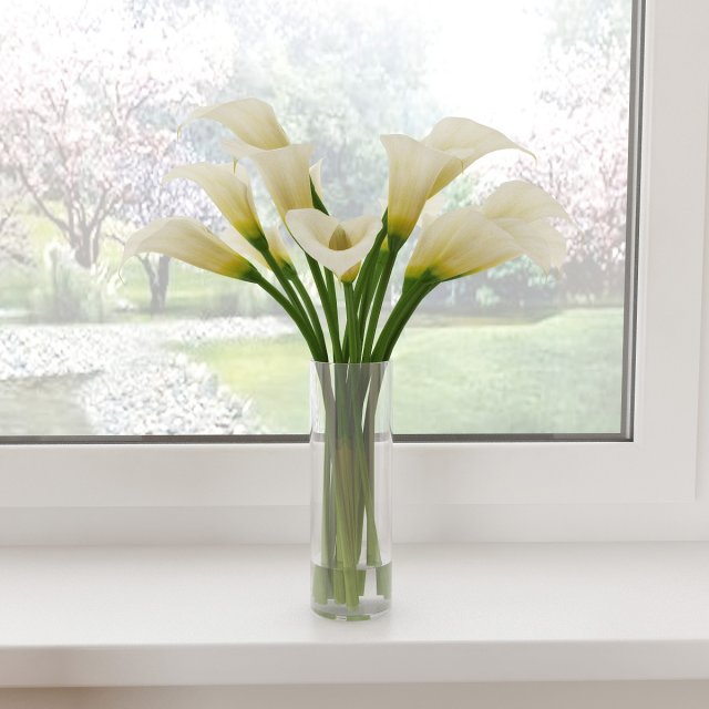 calla Model 3D .c4d .max .obj .3ds .fbx .stl .blend 