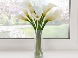 calla 3D Model