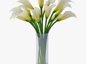 calla Model 3D