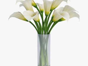 calla Model 3D