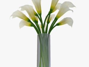 calla Model 3D