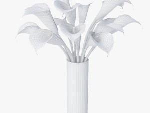 calla Model 3D