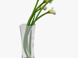 calla lilies 3D-Modell