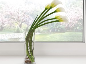 calla lilies 3D Model