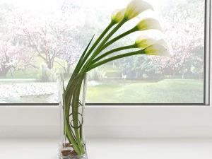 bunga lili calla Model 3D