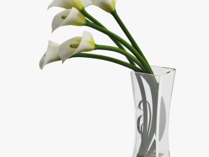 calla lilies 3D-Modell