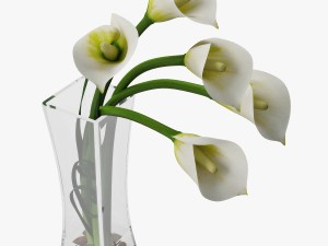 calla lilies 3D-Modell