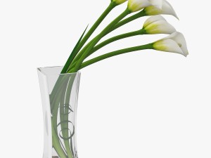 calla lilies 3D-Modell