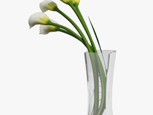 calla lilies 3D-Modell